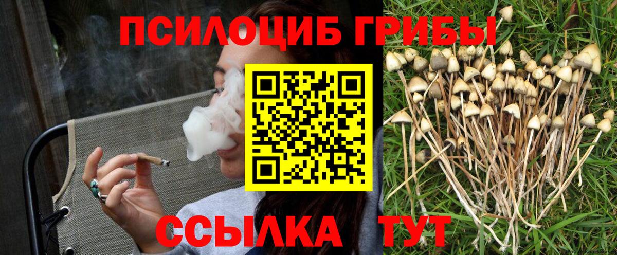 Псилоцибиновые грибы MAGIC MUSHROOMS Улан-Удэ